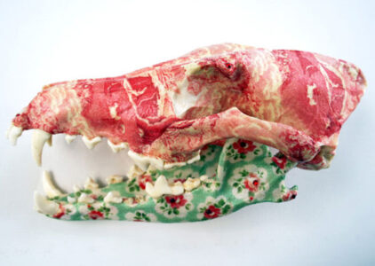 The Life of a Patterned Skull Image